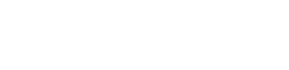 bird2